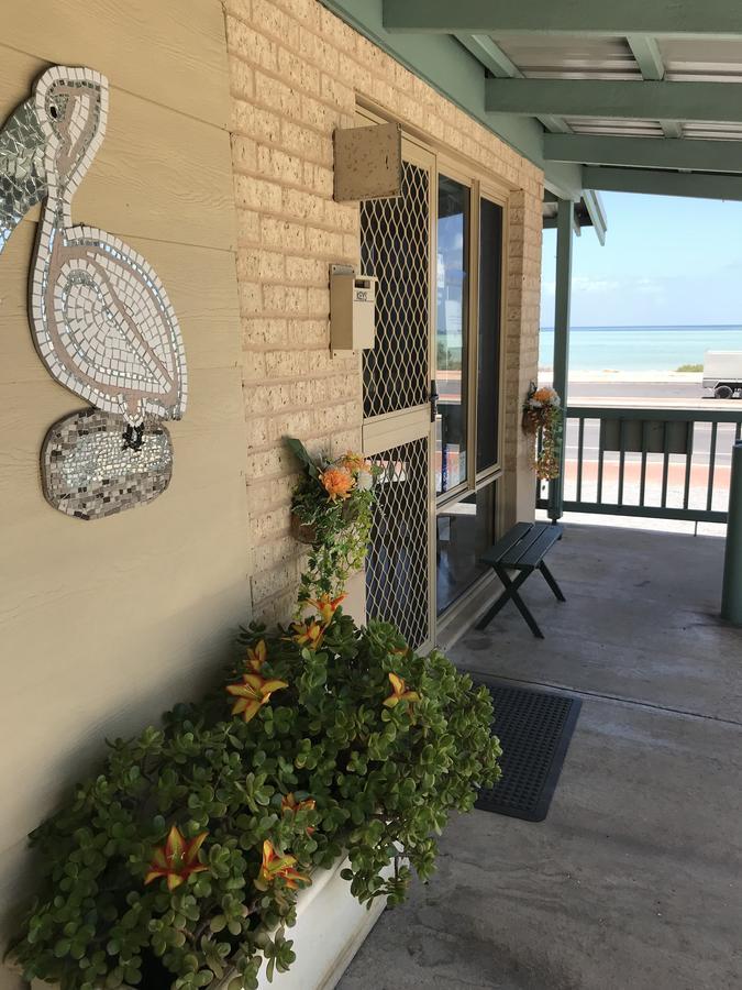 Shark Bay Seafront Apartments Denham Zewnętrze zdjęcie