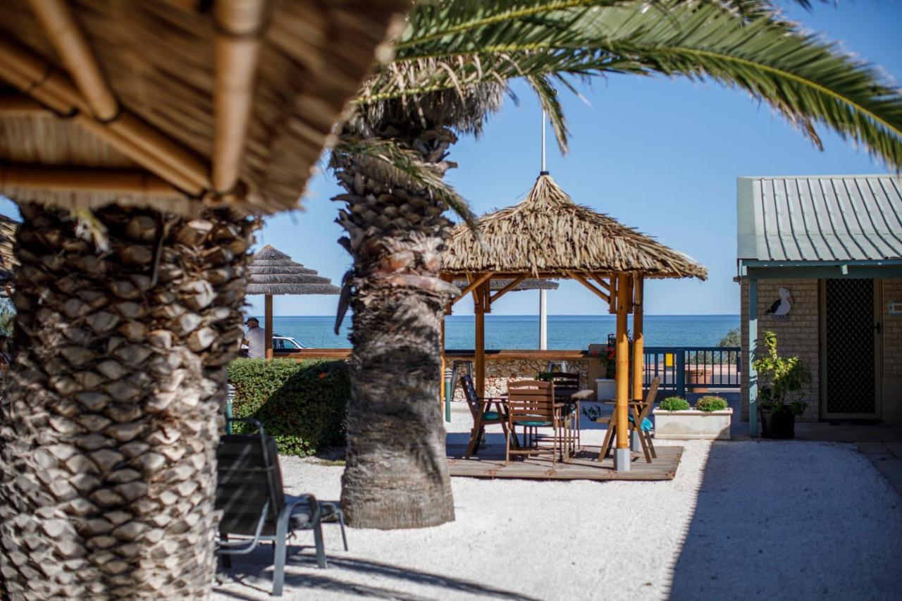 Shark Bay Seafront Apartments Denham Zewnętrze zdjęcie